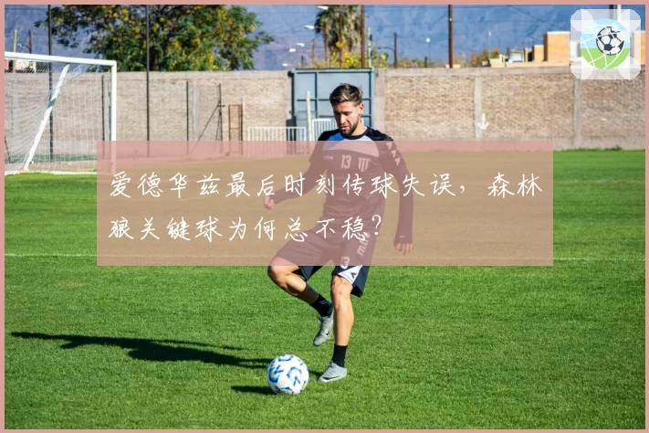 爱德华兹最后时刻传球失误，森林狼关键球为何总不稳？